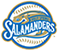 Salamanders