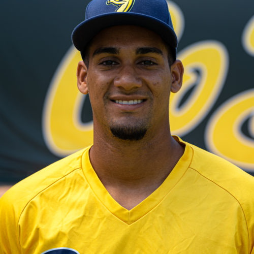 Livan Reinoso