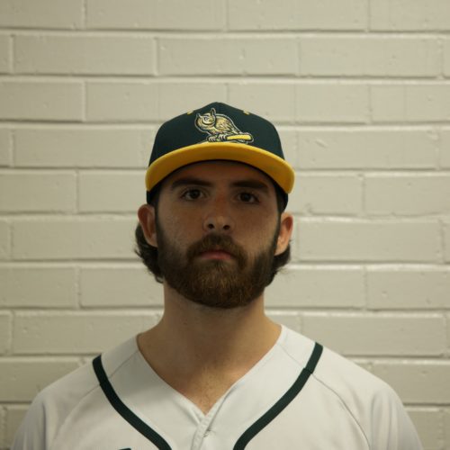 Raphael Schneider