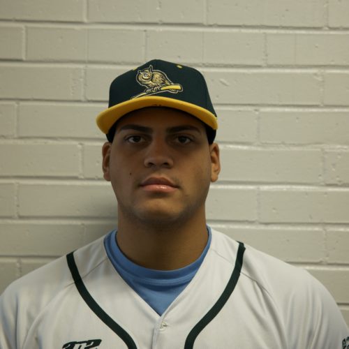 Yariel Diaz